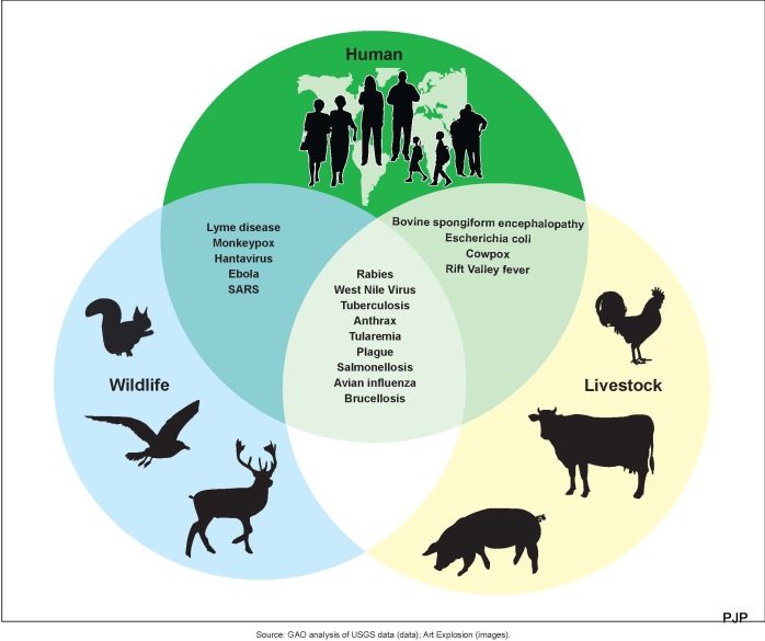 2-Figure_3-_Examples_of_Zoonotic_Diseases_and_Their_Affected_Populations_(6323431516)